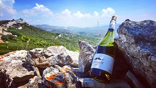Domaine Bassac
