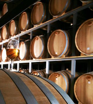 Degustazione di vini e visita alla cantina Tikveš