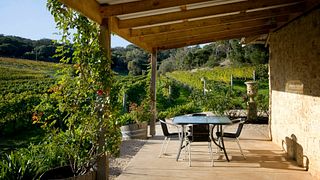Cape Naturaliste Vineyard