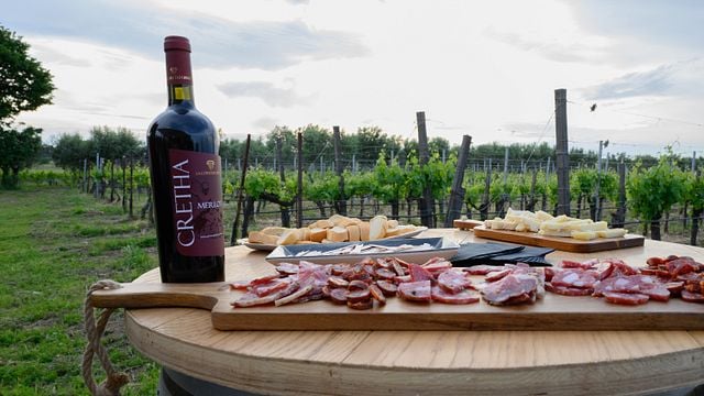 Dégustation en cave avec accords mets et vins