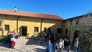Umbria: guided tour to traditional oil mill + olive oil & wine & food tasting