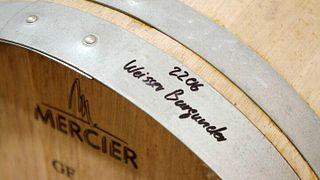 Cata de vinos y visita guiada en Gebrueder Kauer