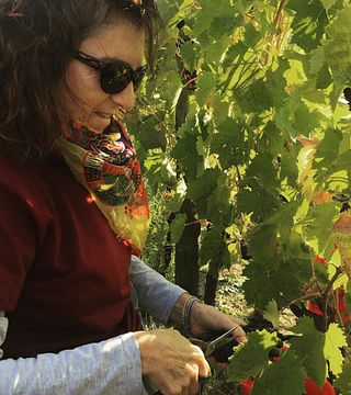 Cata de vinos privada y tour en Tenuta Santi Giacomo e Filippo