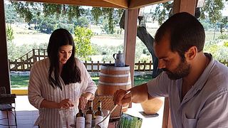 La migliore esperienza di degustazione di vini al Monte da Raposinha 