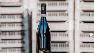 Savor Veneto’s Amarone Elegance at Valentina Cubi