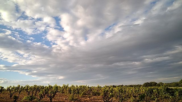 Domaine La Casenove