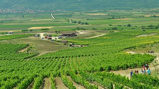 Weinreise in die Ausläufer der Rhodopen