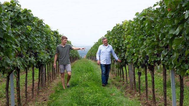 Cata de vinos premium y visita guiada en Weingut Helmut Maglock