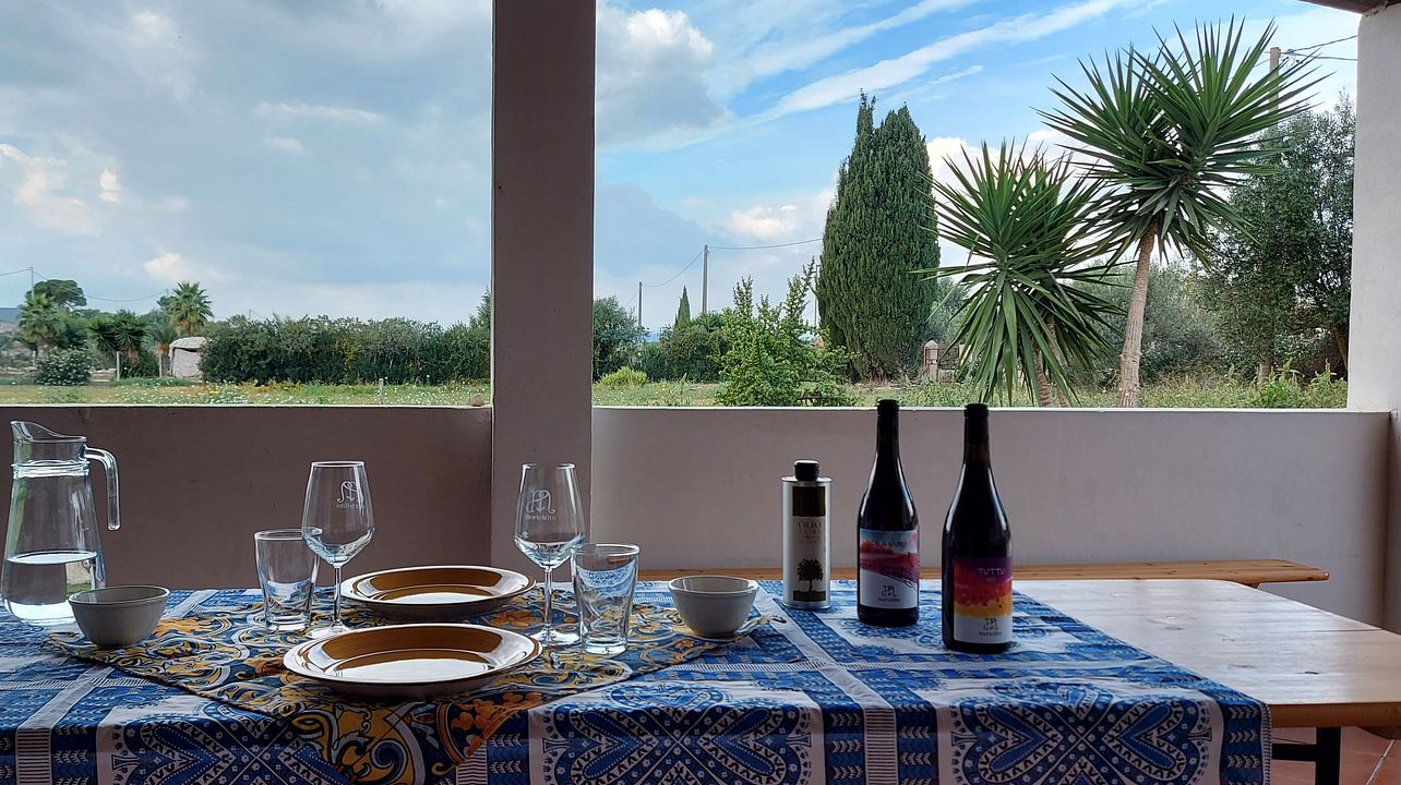 Degustação de vinhos e experiência com azeite de oliva no Il Mortellito