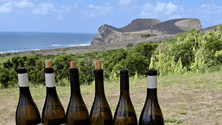 Adega do Vulcão - Adega dos Capelinhos, Faial island