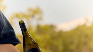 Provsmakning i källardörren