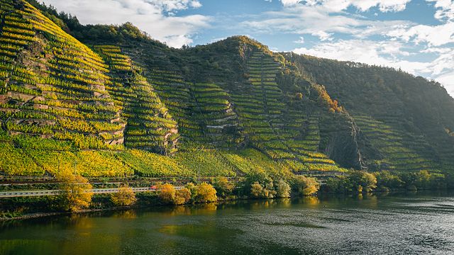 Degustação de Vinhos no VDP Weingut Knebel