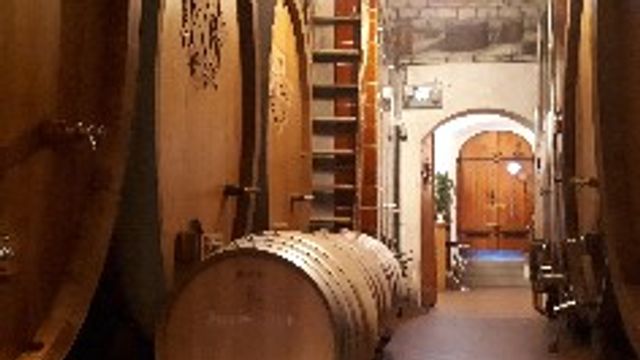 Degustação de vinhos no Domaine Bertholet