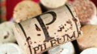 Wine Lover's Wine Tour | Degustação de vinhos e tour em Pileum