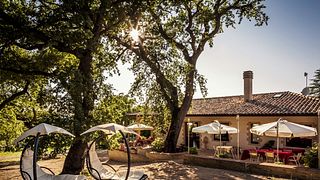 Dégustation de vins et visite chez Tili Vini