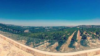 Crete Uncorked: Peza Wine Tour & Tasting at Paterianakis