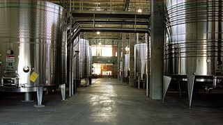 Weinprobe und Tour in der Bodega Zolo