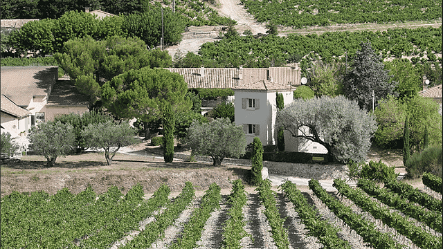 Domaine des Girasols