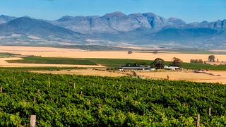Coastal Region Wine Tour & Tasting at Doran Vineyards