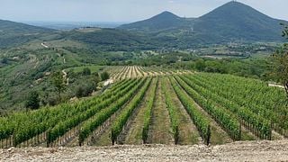 Weinprobe und Tour bei Vignalta