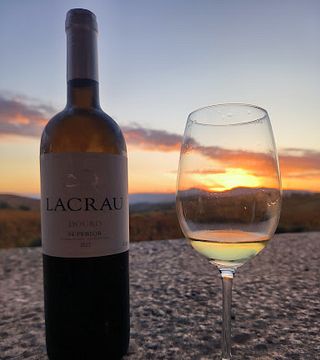 Degustazione al tramonto nel Douro