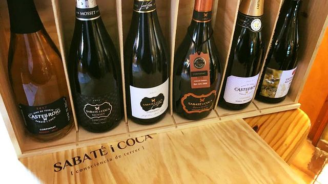 Dégustation de vins et visite incontournable chez Sabaté I Coca