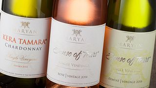 Verkostungserlebnisse im Weingut Maryan