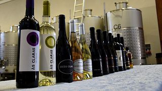 Klassische Weinprobe – João Clara Farm 