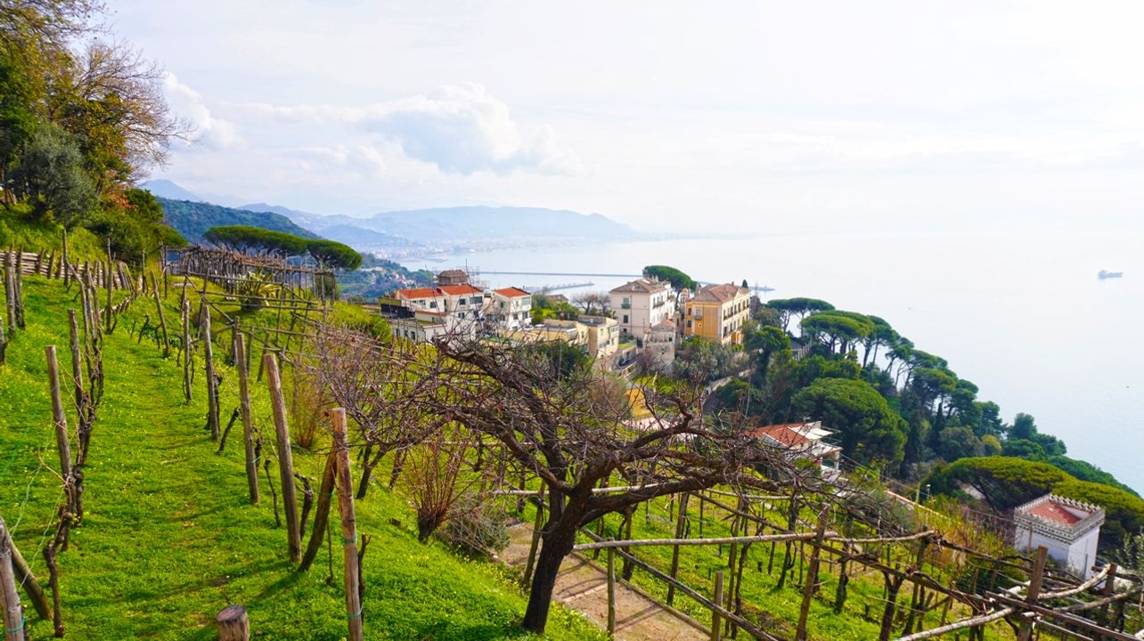 Visite des vins sur la côte amalfitaine avec un sommelier professionnel