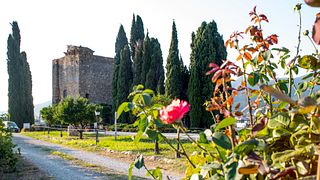 Degustazione di vini e tour presso l'Agriturismo Torre Pernice