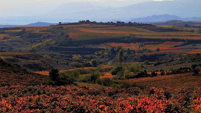 Bodega Gil Berzal de Laguardia S.C.