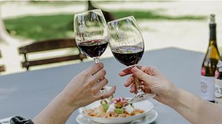 Dégustation de vins et visite du domaine viticole de Bellevue