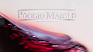 Schnelle Verkostung im Poggio Maiolo