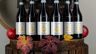 Borgogno Rivata Winery