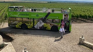 Recorrido panorámico en autobús y cata de vinos en Dealu Mare