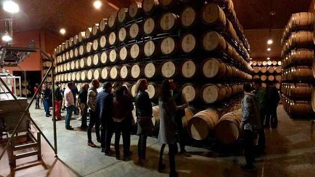 Bodegas Fernández De Piérola