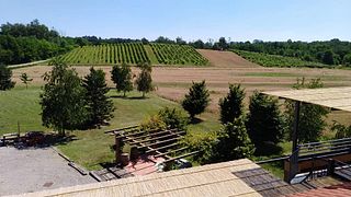 Degustação de Vinhos e Tour na Azienda Agricola Crespi Alberto
