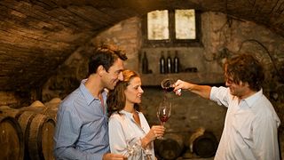 Tour di degustazione di vini ad Avignone Châteauneuf du Pape, Gigondas, Séguret