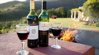 Degustazione di vini e tour alla tenuta Bushmanspad