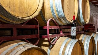 Vinprovning och rundtur på Bodegas Antonio Cañaveras