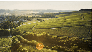 Domaine Céline & Frédéric Gueguen