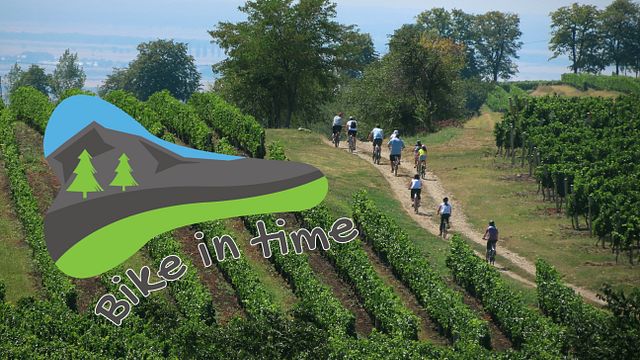 Rota do Vinho de Um Dia de Bicicleta - Descubra as vinícolas perto de Bucareste