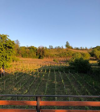 Dégustation et visite de vins au domaine viticole Ambra