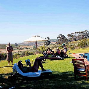 Soggiorno in agriturismo nello stato di Fynbos | Azienda vinicola Dragonridge
