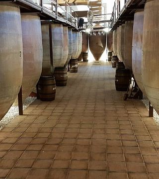 Visite de la cave traditionnelle Navarro López et dégustation de vins