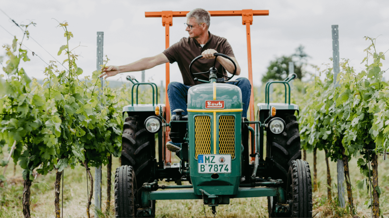 Weingut Galler
