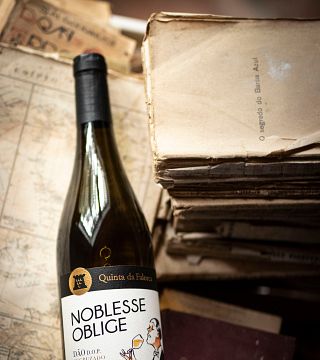 Dão & Lafões: Award-Winning Wine Tour & Tasting