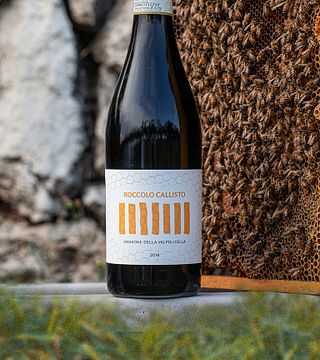 Valpolicella: Tour pela vinícola orgânica e degustação de vinhos em Roccolo Callisto