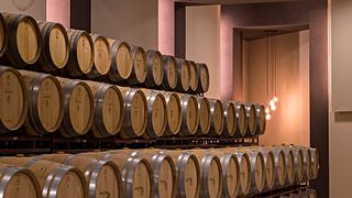 Sabores da Rioja Oriental em Bodegas Aradón