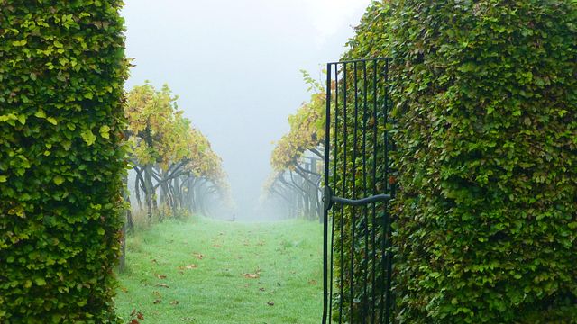 Degustazione di vini e tour presso la Chiltern Valley Winery & Brewery